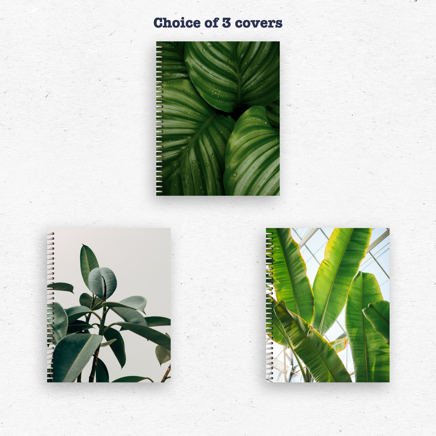 Plants Digital Planner - Instant Download